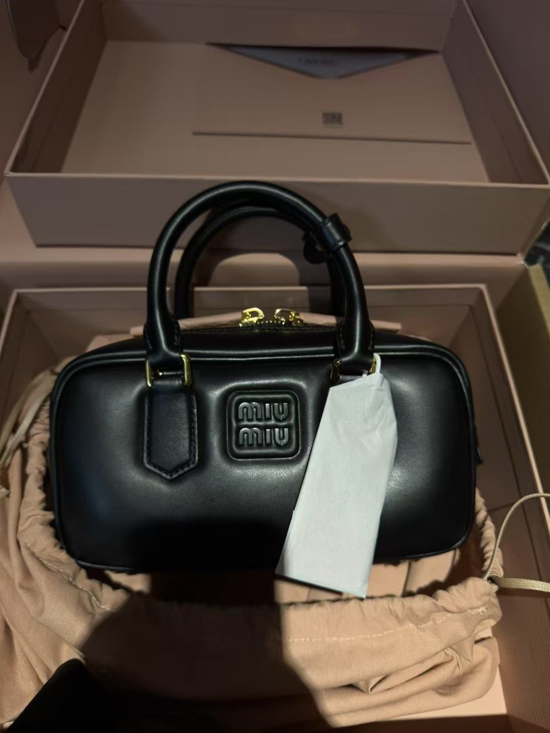 Miu Miu Arcadie Leather Bag