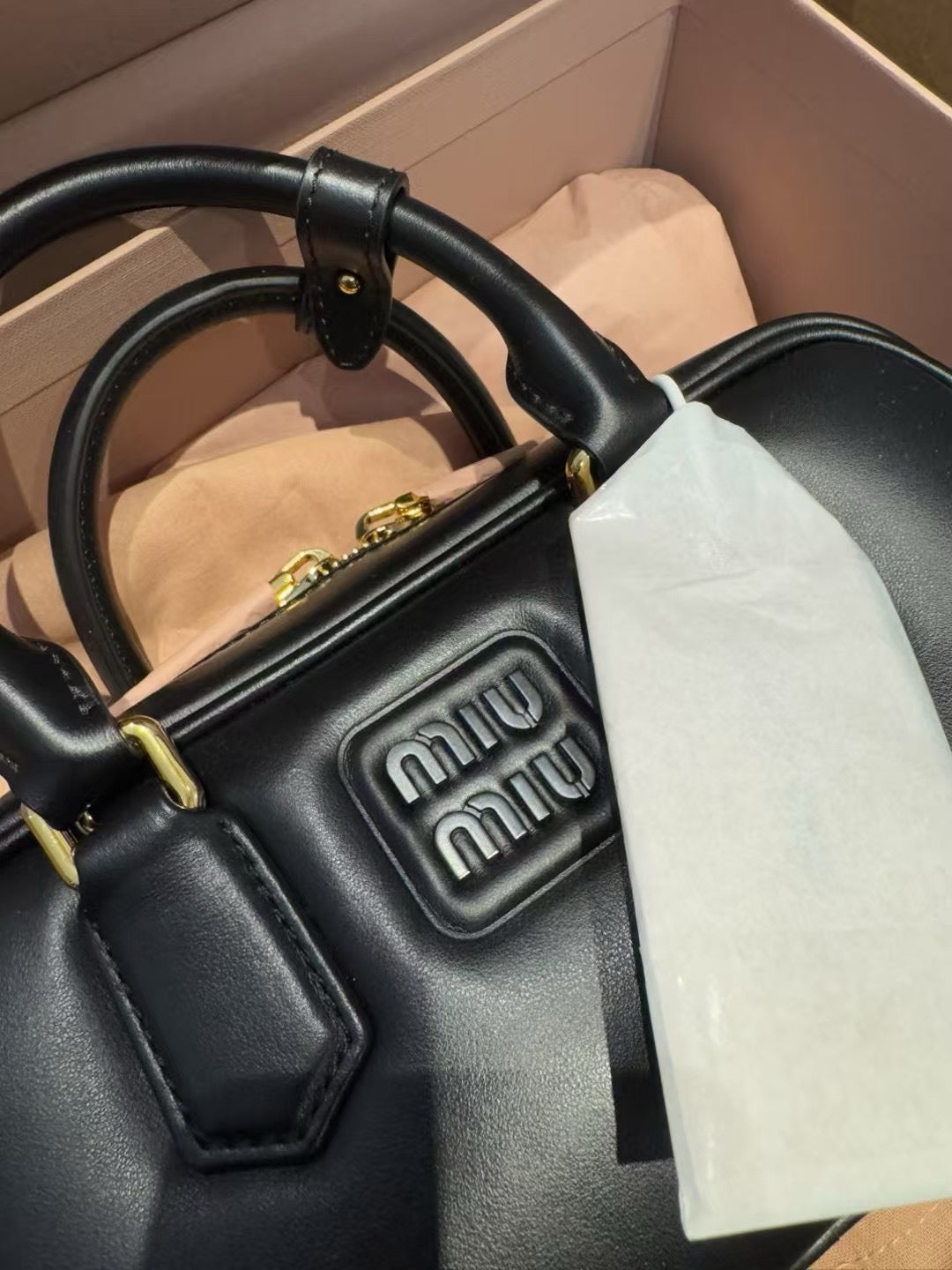 Miu Miu Arcadie Leather Bag
