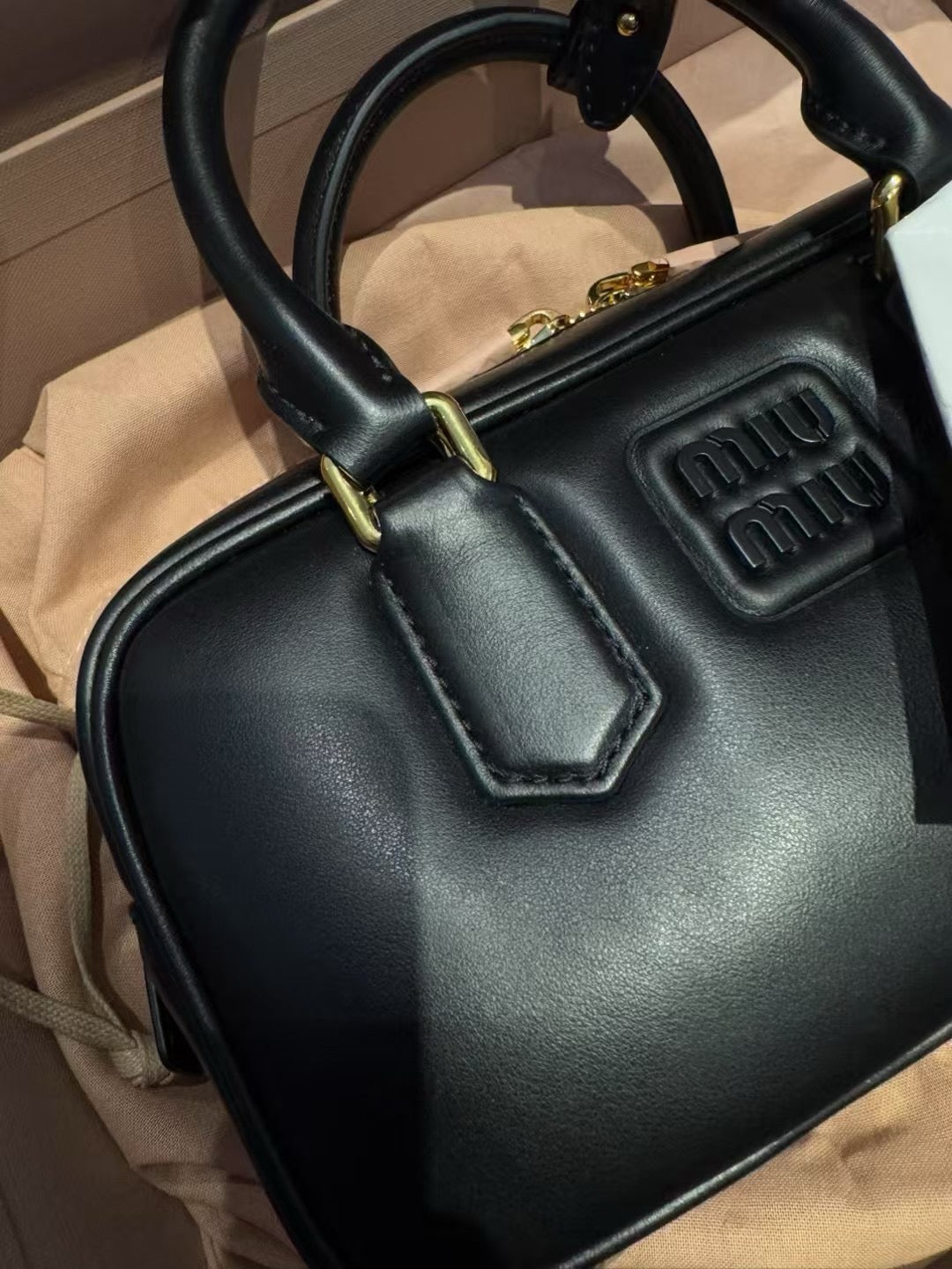 Miu Miu Arcadie Leather Bag